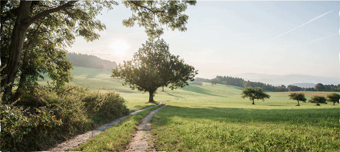 Visit Bad Leonfelden