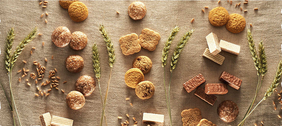 Organic Biscuits